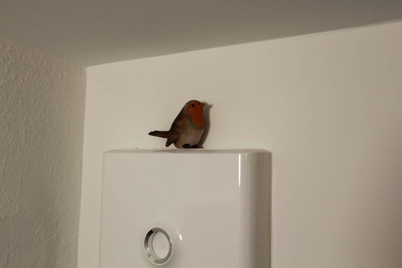 Chambre Chez L'Habitant Le Rouge-Gorge - Coeur De Riquewihr - 2 Personnes ภายนอก รูปภาพ